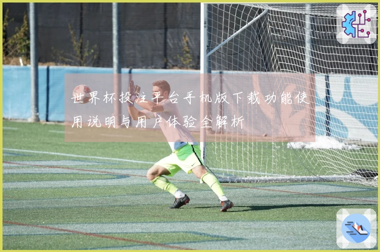 世界杯投注平台手机版下载功能使用说明与用户体验全解析