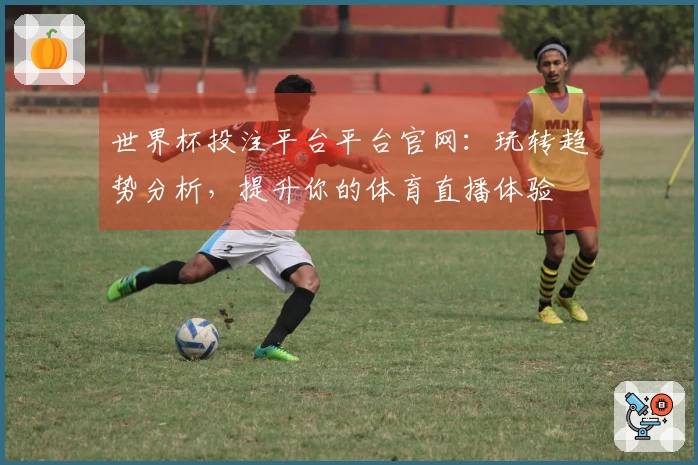 世界杯投注平台平台官网：玩转趋势分析，提升你的体育直播体验