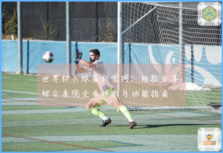 世界杯买球最新官网：经验分享，综合表现全面评测与功能指南